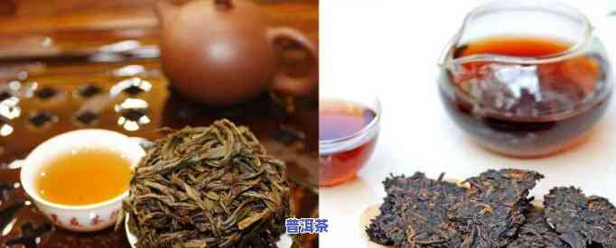 普洱和乌龙茶的区别是什么，深度解析：普洱与乌龙茶的五大区别