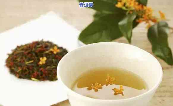 普洱茶配桂花怎么泡好喝窍门，独家秘笈：教你怎样将普洱茶与桂花完美搭配，泡出美味又健康的饮品！