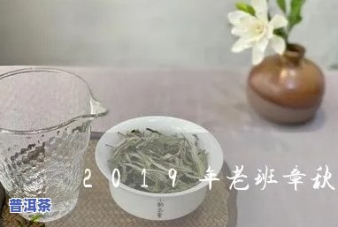 2019老班章饼茶-老班章茶饼价格