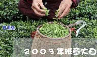 老班章小白菜价格及2003年大白菜售价查询