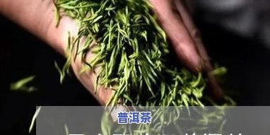 野猪塘普洱茶产地是哪里-野猪塘普洱茶产地是哪里的