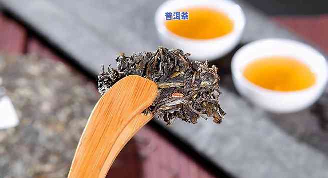 何为普洱，探秘普洱：一种特别的茶文化