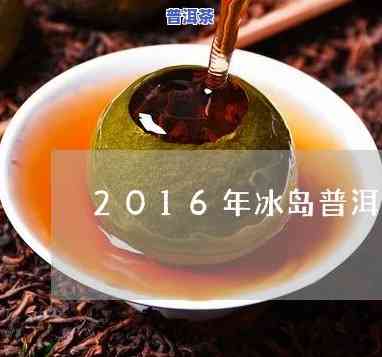 冰岛2016普洱茶：价格走势与新品上市