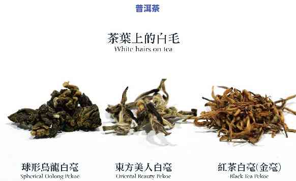 普洱茶外面长白毛是什么-普洱茶外面长白毛是什么起因