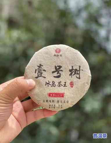 名山古树茶价格，探寻名山古树茶的珍稀价值：价格解析与品鉴指南