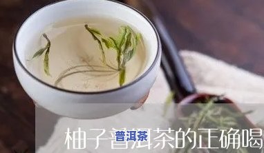 柚子普洱茶怎么泡才正确-柚子普洱茶怎么泡才正确呢