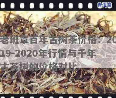 老班章古树茶价格2019，2019年老班章古树茶价格走势分析