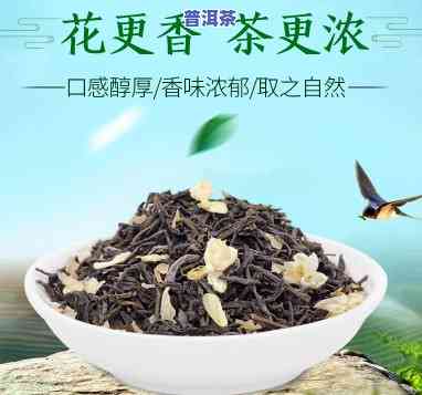 大叶子茉莉花茶：品种对比与选购指南