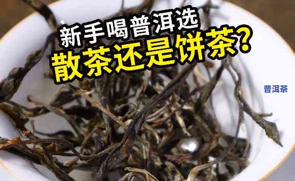 普洱喝新茶还是老茶-普洱喝新茶还是老茶好