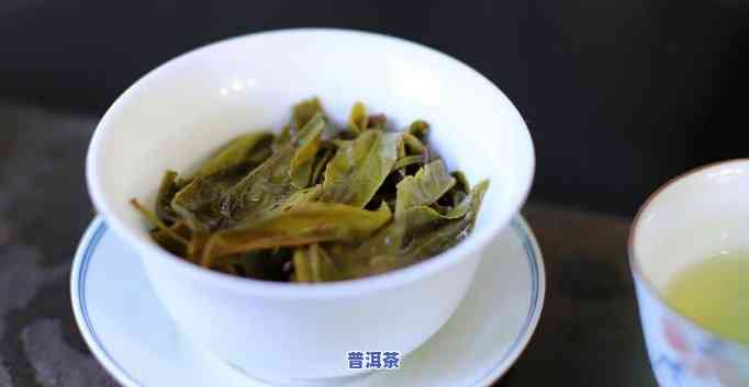 古树普洱茶什么意思，探秘古树普洱茶：一种独特的茶叶品种及其含义