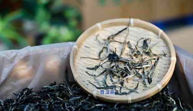 古树普洱茶属于哪种茶叶类型？详解其分类与特点