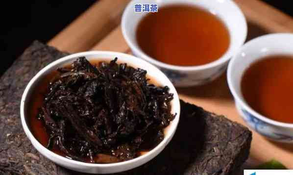 古树普洱茶属于哪种茶叶类型？详解其分类与特点