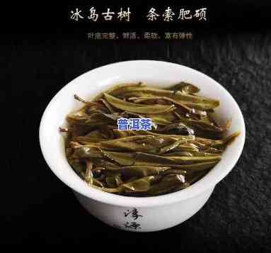 探究卫东古树普洱茶的口味特点与独特魅力