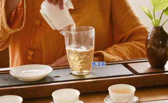 熟普洱茶多少度水冲泡好-熟普洱茶多少度水冲泡好喝