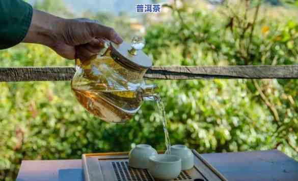 熟普洱茶多少度水冲泡好-熟普洱茶多少度水冲泡好喝