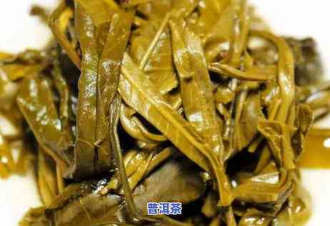 冰岛普洱茶苦吗，揭秘冰岛普洱茶：它真的那么苦吗？