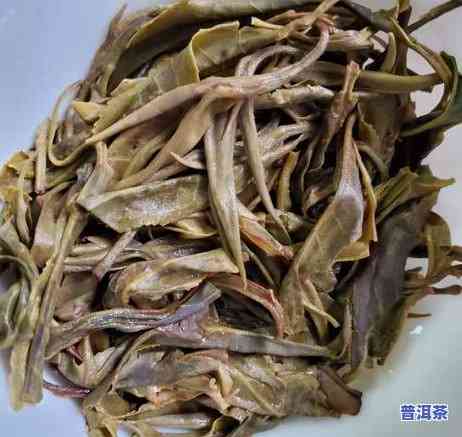 冰岛普洱茶苦吗，揭秘冰岛普洱茶：它真的那么苦吗？