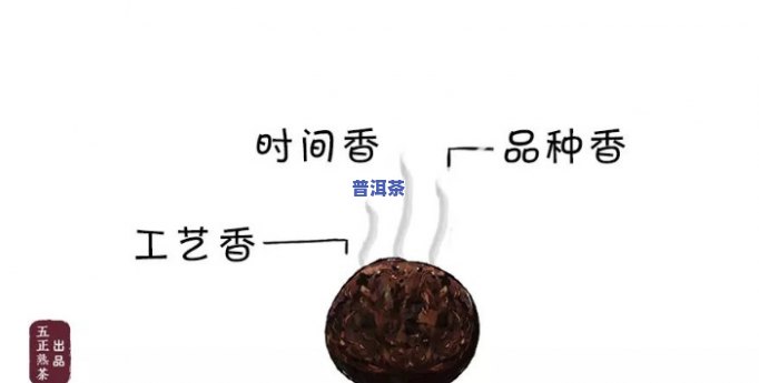 普洱茶：怎样正确闻香以提升口感享受？