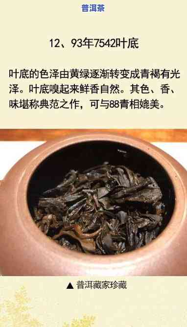 1999年7262普洱茶：与7532及同年其他普洱茶的比较分析