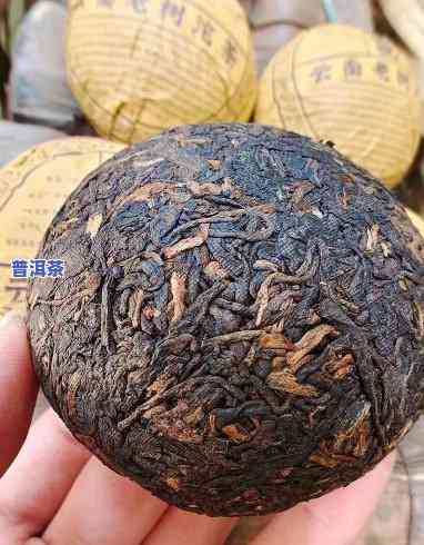 鸿泰昌普洱茶88年价格-鸿泰昌普洱茶88年价格多少