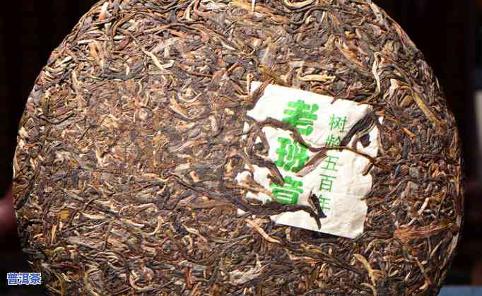 老班章珍藏版普洱茶：价格与鉴赏全解析