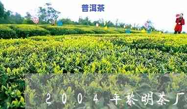 国营黎明茶厂老班章-黎明茶厂2004年班章茶