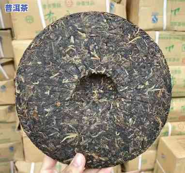 06年天地人班章茶大树典藏品，探索古树普洱的魅力：'06年天地人班章茶大树典藏品