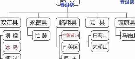 冰岛普洱茶属于红茶类吗，探究冰岛普洱茶的类别归属：它属于红茶类吗？——讨论