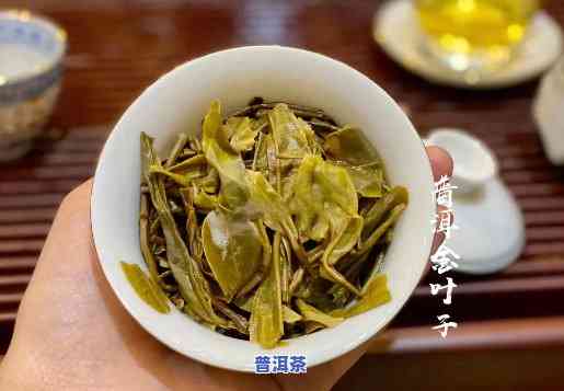 金叶普洱茶怎么样好喝吗，口感醇厚，品质上乘——金叶普洱茶的品鉴与评价