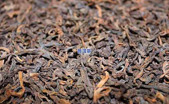 布朗山生态园金芽普洱茶-布朗山金芽普洱茶价格