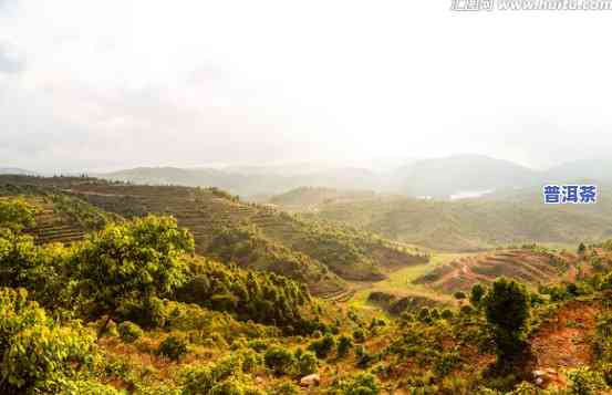 布朗山老班章全景图-布朗山老班章全景图高清