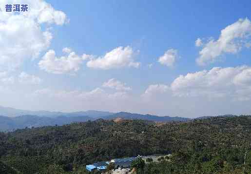 布朗山老班章全景图-布朗山老班章全景图高清