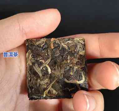 云南古树茶普洱茶小方片-云南古树普洱茶饼