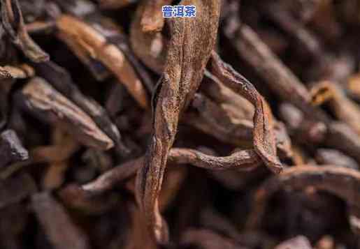 西双版纳普洱茶叶价格：一般多少钱一斤？在哪里买划算？