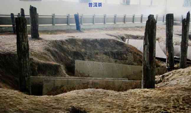 普洱茶马古道木桥在哪里-普洱茶马古道的古树