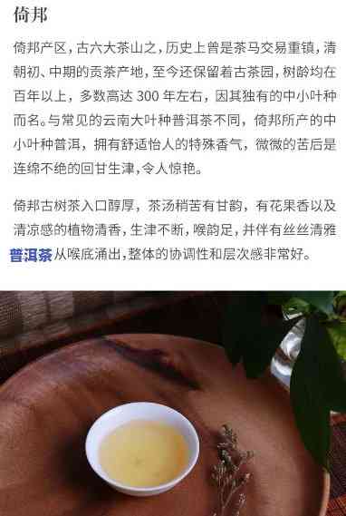 老班章村普缘郑展鹏-普洱茶老班章茶山地址