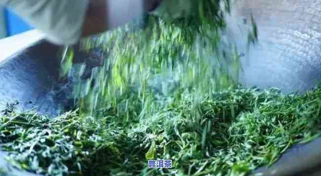 普洱茶：哪种杀青方法最适合长期存放与品饮？