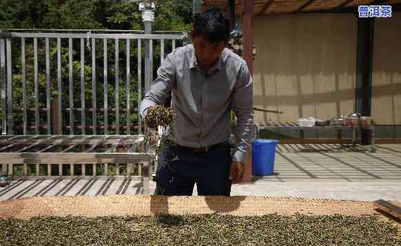 老班章厂址，探访老班章茶厂：揭秘优质普洱茶的产地与制作工艺