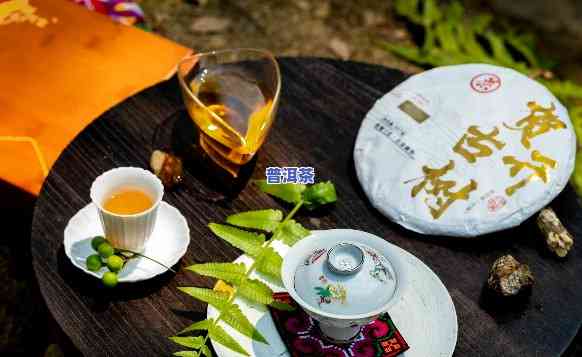 普洱茶和茶，品味古韵：探寻普洱茶与茶文化的独特魅力