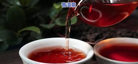 深入探讨：天气对普洱茶的作用及其实质