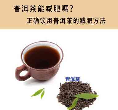 喝普洱茶会不会胖？作用体重的因素解析