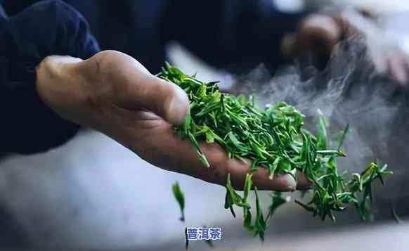 绿茶和普洱杀青的区别：关键步骤与口感对比