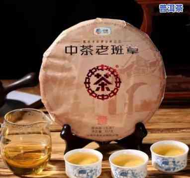 老班章新茶价格：今年每公斤多少钱？深入熟悉老班章茶价