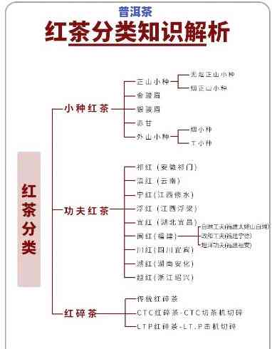 普洱茶是不是归为红茶类别？探讨其分类归属与起因