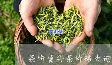 新沂市普洱茶饼场-新沂市普洱茶饼场地址