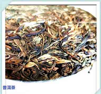 普洱茶与龙井茶价格比较：哪个更贵？