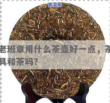 老班章用什么茶具泡，怎样选择适合老班章的茶具？