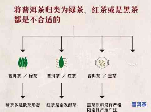 怎样分辨普洱绿茶是不是已经发生转化？