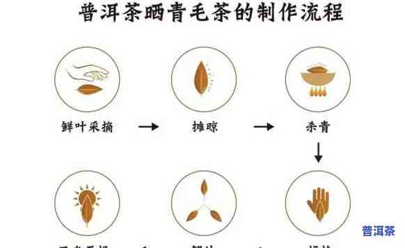 怎么区分绿茶化的普洱茶，怎样辨别绿茶化普洱茶：关键点解析