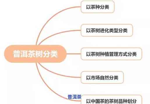 普洱茶的民间分类及其类型图片全解析